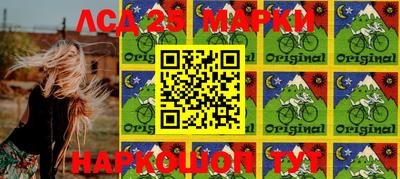 мяу мяу мука Нарткала