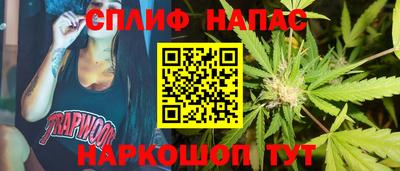мяу мяу мука Нарткала